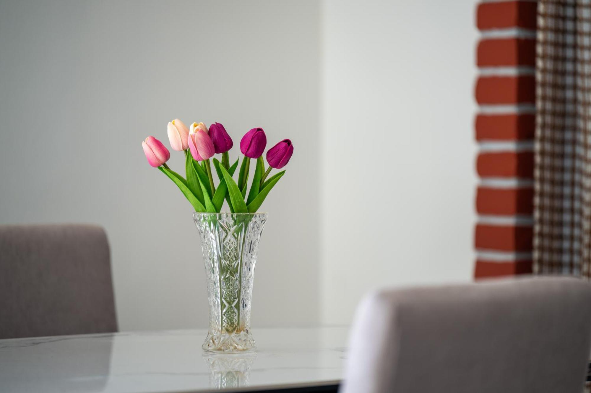 Apartment Gioia โรวีน ภายนอก รูปภาพ